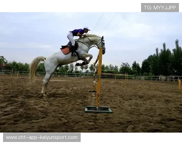 陕西：7国120余名职业骑手黄河之滨竞速，去宁海西子国际怎么坐车